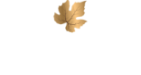 LOGO_ARTIS02