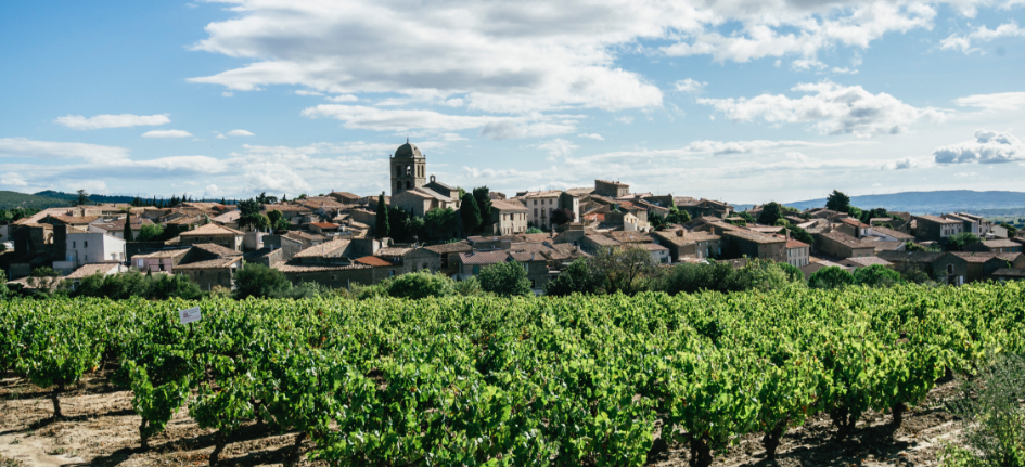 Organic Wines - Cordier USA