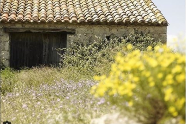 PHOTO01