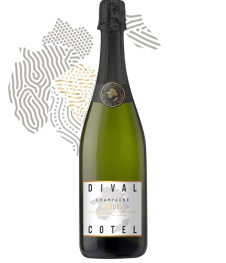 dival cotel 2